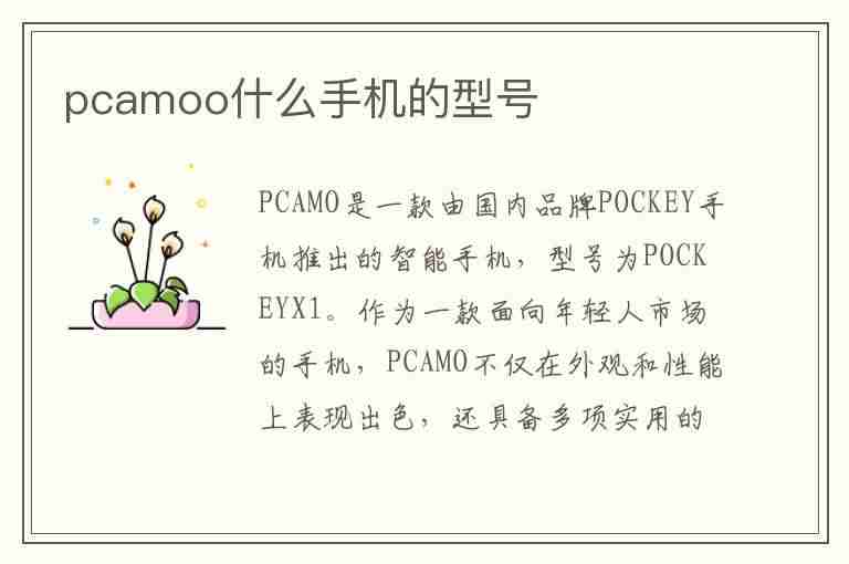 pcamoo什么手机的型号